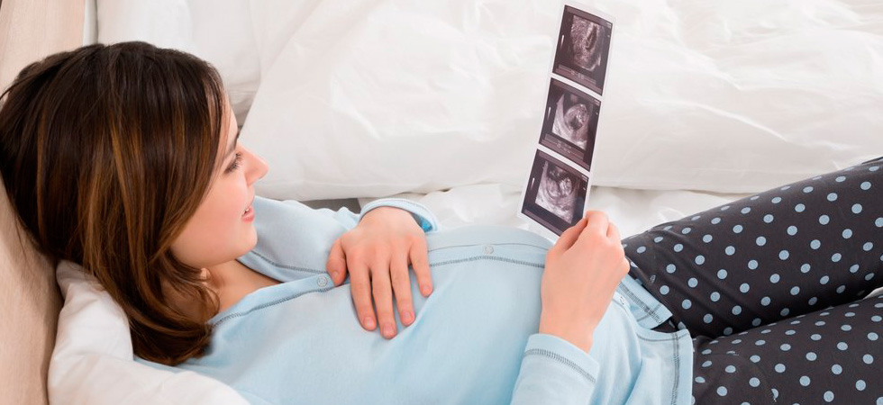 Сколько раз и на каких сроках делают УЗИ при беременности - фото